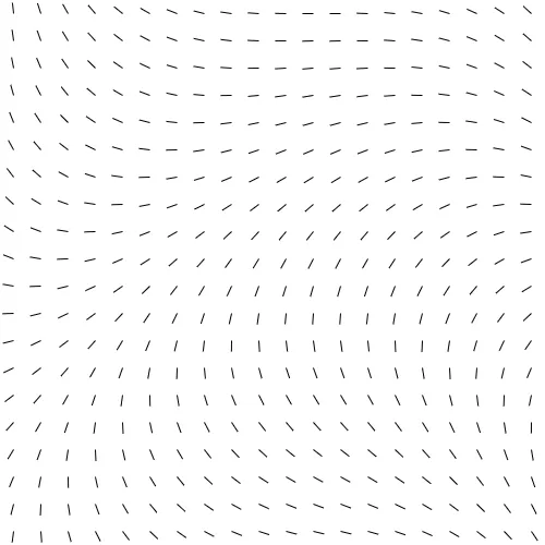 Parametric flow field